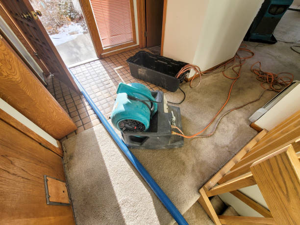 Best Ceiling water damage repair  in Orrville, OH