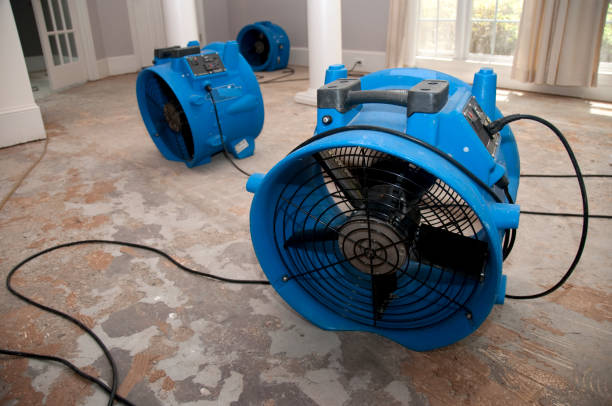 Best Basement water damage restoration  in Orrville, OH