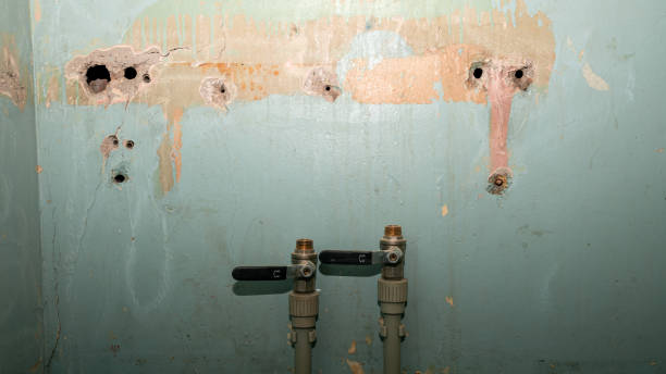 Best Water damage contractors near me  in Orrville, OH