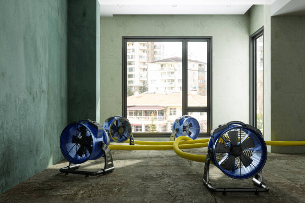 Best Fire Damage Restoration  in Orrville, OH